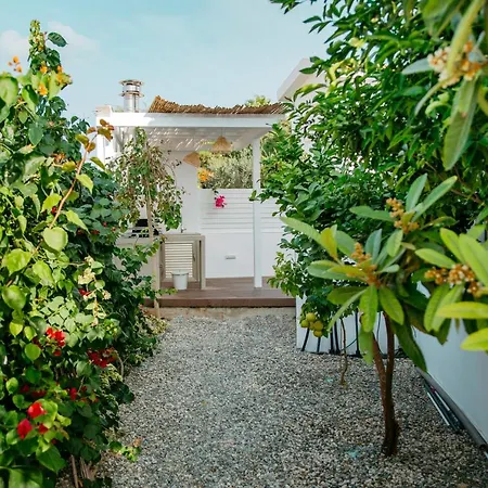 Island Seaside Paralimni